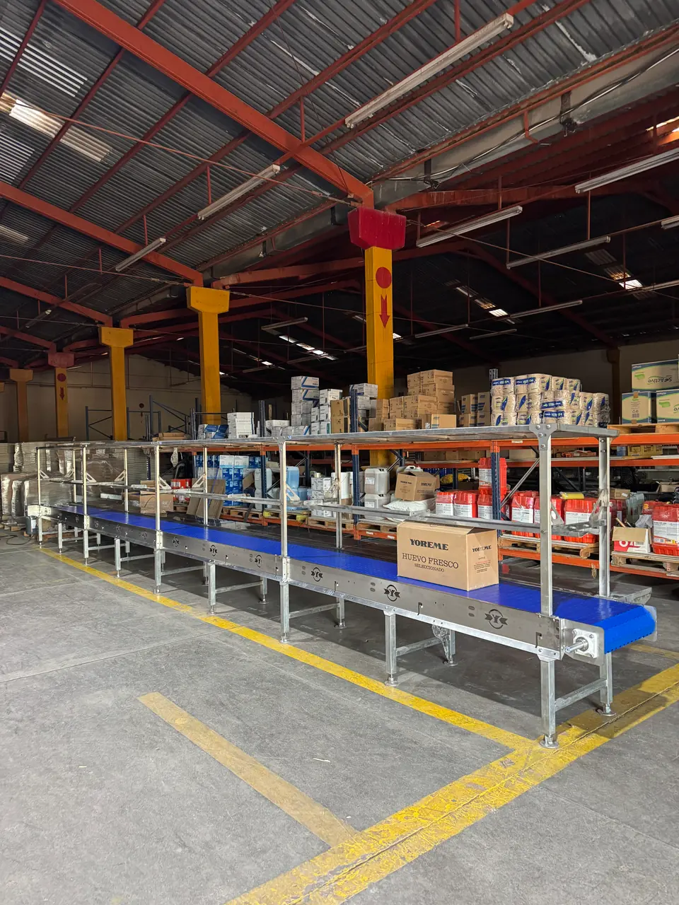 Líneas de empaque con banda modular azul y repisas para charolas en la planta avícola